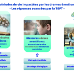Affiche Présentation TEFT14