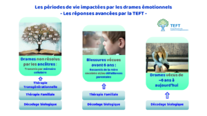 Affiche Présentation TEFT14