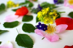 flowers-3397279__340