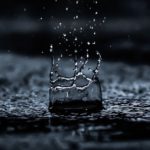 pexels-sourav-mishra-1100946