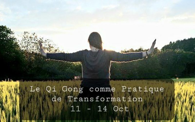 LE QI GONG COMME PRATIQUE DE TRANSFORMATIONDU 11 AU 14 OCT 2021